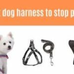 Home 22 5 best dog harness to stop pulling