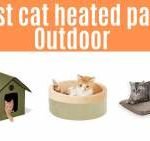 heated outdoor cat bed