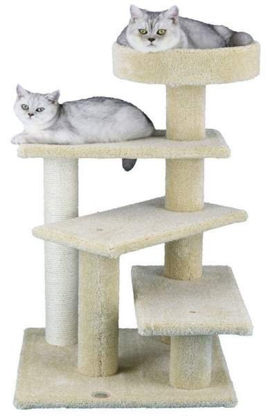 Best carpeted cat tree for large cats