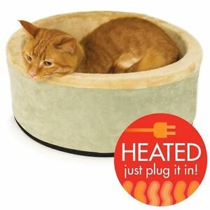 cat heated pad