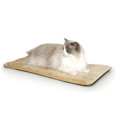 Best heated bed for cats