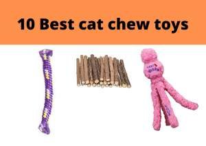 10 Best cat teething/Chewing toys 1