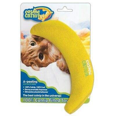 interactive cat dental toy