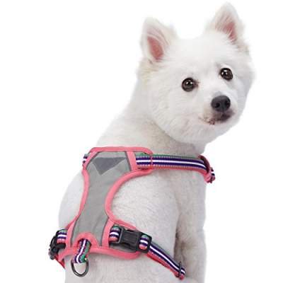 Best no pull dog harness first choice