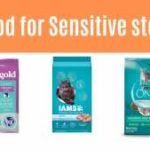 best cat food for sensitive stomach