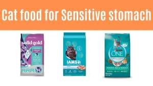 best cat food for sensitive stomach