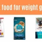 Cat food for weight gain