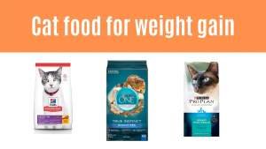 Cat food for weight gain