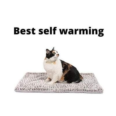 heated pads for outdoor cats