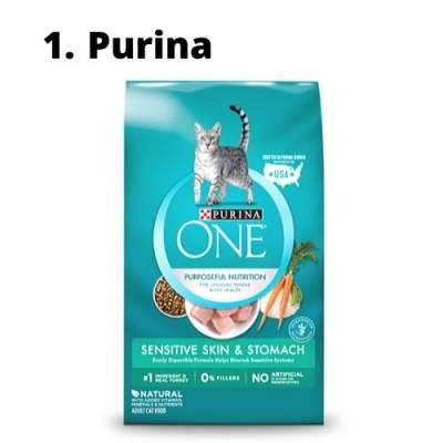 best cat food for hairball prevention