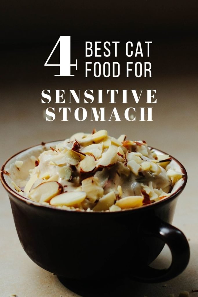 Best Cat Food for Sensitive Stomach 2