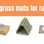 best grass mats