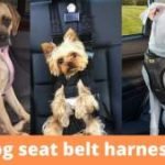 dog seat belt harness