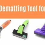 Home 22 Best Dematting Tool for Cats