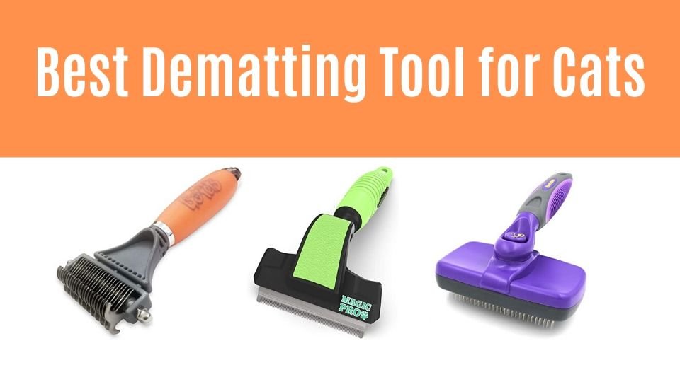 Best Dematting Tool for Cats
