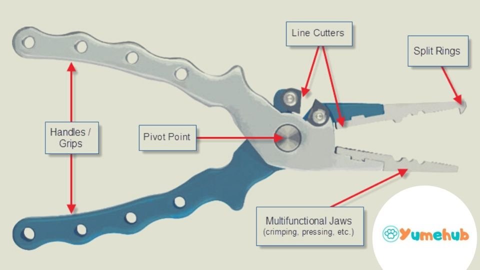 How to Select the Best Fishing Pliers