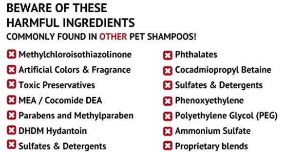 WHAT ARE THE ELEMENTS TO AVOID IN THE SHAMPOO WHEN BUYING FOR DOGS?