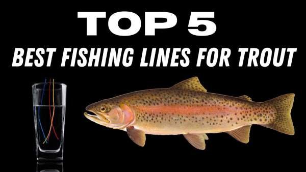 best fishing lines for trout