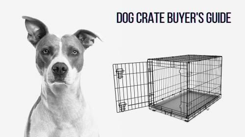 Choosing the right crate- Buyer’s Guide