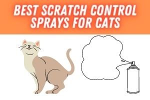 Best scratch control sprays for cats (1)