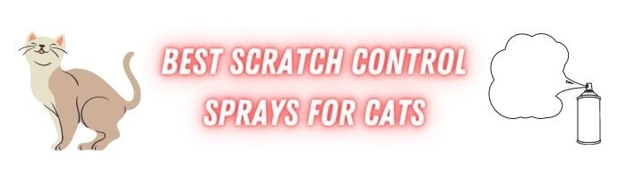 Best scratch control sprays for cats