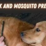 Flea-Tick-and-Mosquito-Prevention