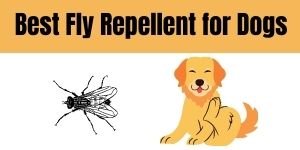 Best Fly Repellent for Dogs