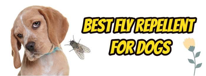 Best Fly Repellent for Dogs