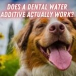 Home 25 The Best Dental Water Additives for Dogs
