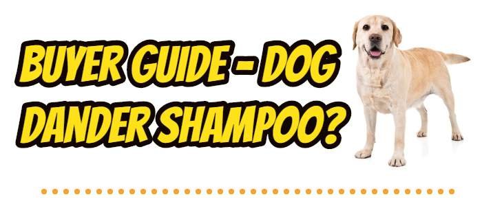 Buying Guide: 7 Best Dog Shampoo to Reduce Dander