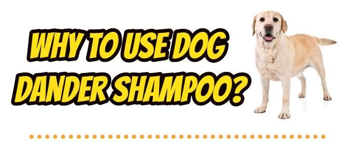 why to use Dog Dander Shampoo?