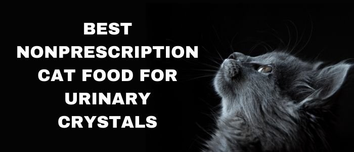 Best Nonprescription Cat Food for Urinary Crystals