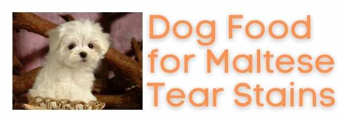 Dog Food for Maltese Tear Stains 2 Best Dog Food for Maltese Food Stains