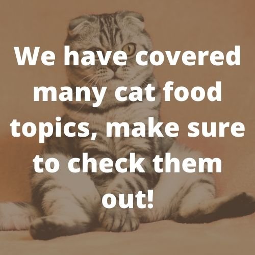 Best Nonprescription Cat Food 1 we covered many cat food topics, make sure to check them out