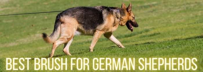 Best Brush for German shepherds