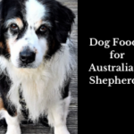 Home 25 Dog Foods for Australian Shepherds