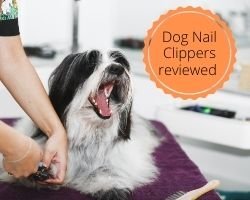 Best Dog Nail Clippers for Thick Nails reviewed