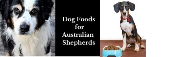 Dog Foods for Australian Shepherds