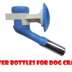 Best Water Bottles for Dog Crates