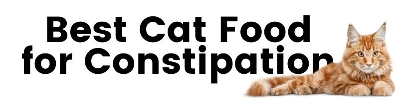 Best Cat Food for Constipation
