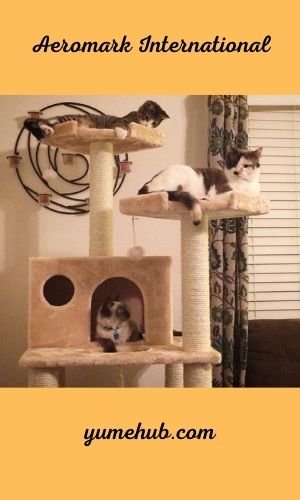 Cat Trees For Senior Cats 3