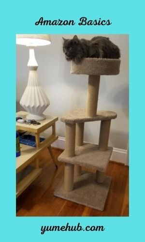 Cat Trees For Senior Cats 15