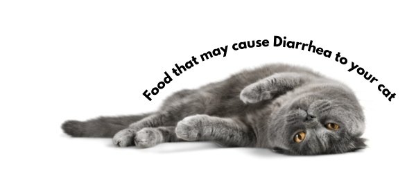 What Are Some Other Foods That Cause Diarrhea?