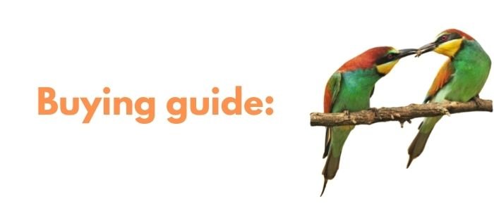 Buying Guide: Best Air Purifier for Bird Owners