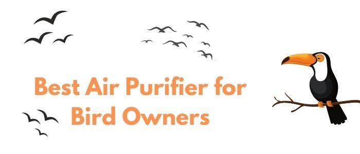 Best Air Purifier for Bird Owners