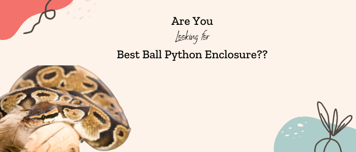 Best Ball Python Enclosure??