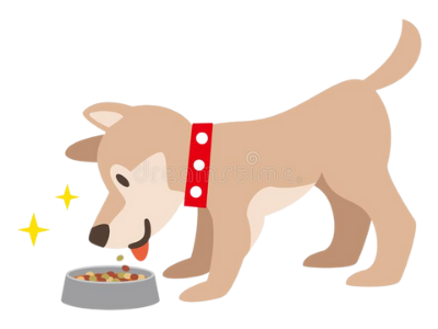 Best Dog Food for Weight Gain