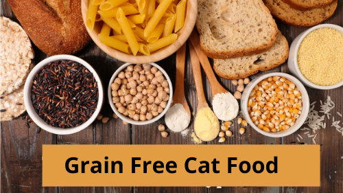 grain free cat food