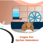 best hamster cage for syrian hamster