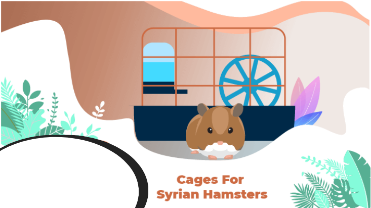 Best Hamster Cage for Syrian Hamster